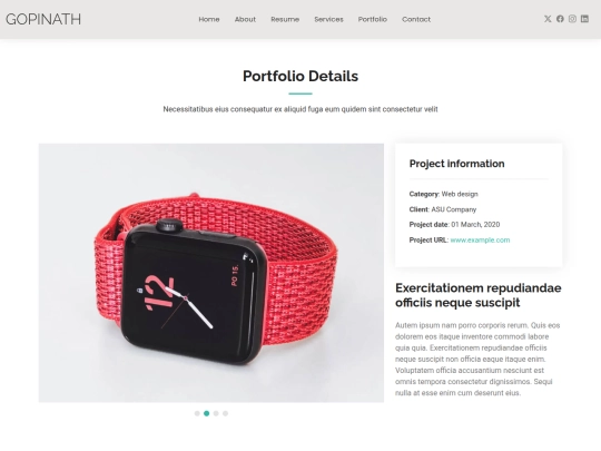 portfolio-details screenshot