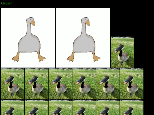 geese screenshot