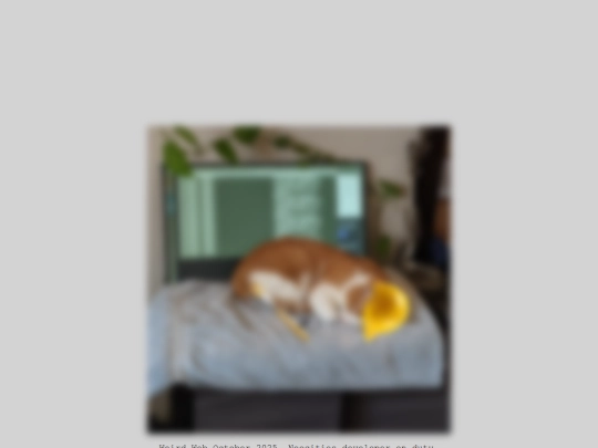 Transparent screenshot