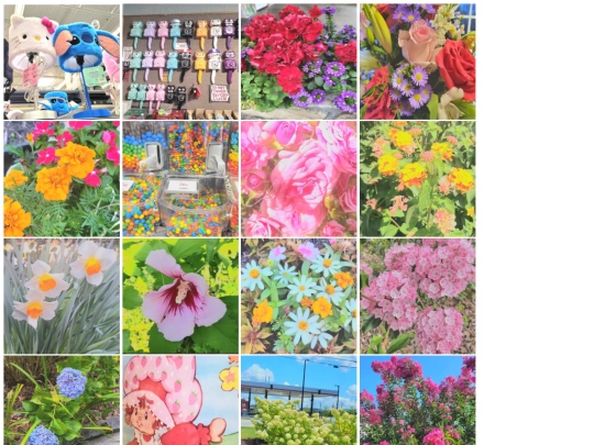 photography screenshot