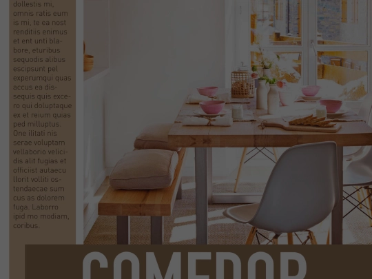 image_html/image_revista screenshot