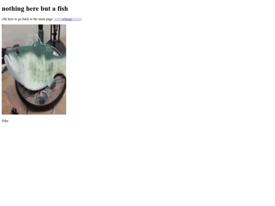 nicendslow screenshot