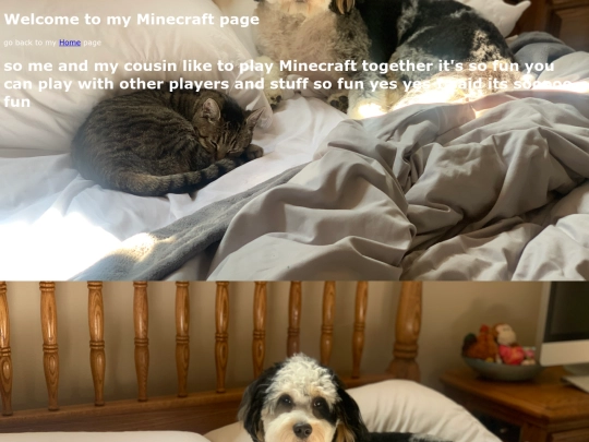 minecraft screenshot