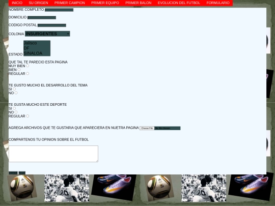 formulario screenshot