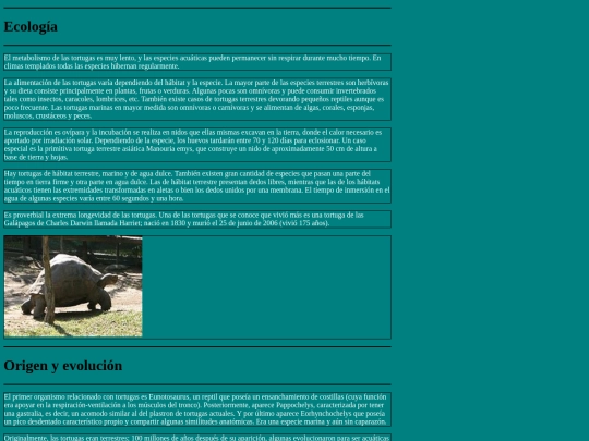 tortuguitas screenshot