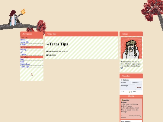 transtips screenshot