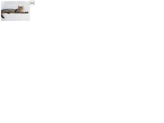 cat screenshot