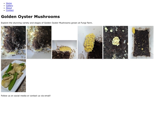 golden-oyster screenshot