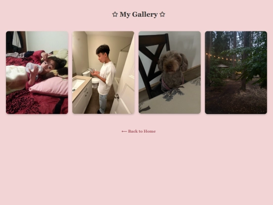 galllery screenshot