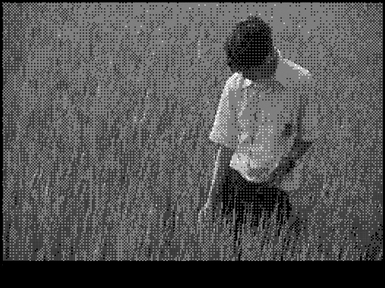 field screenshot