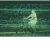 The web site of ether avatar