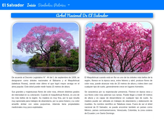 Arbol screenshot