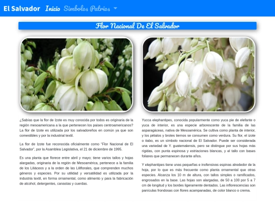 Flor screenshot