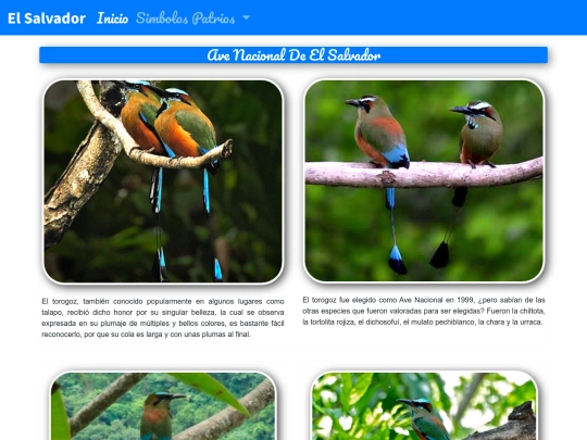 Pajaro screenshot