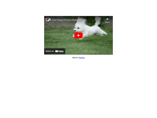 cutepuppiesaww screenshot