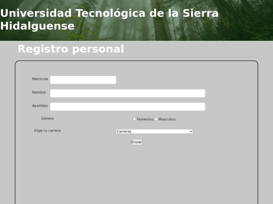 paginas/registroForm screenshot