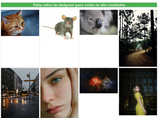 Galería de fotos screenshot