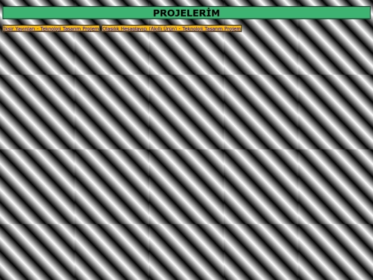 projeler screenshot