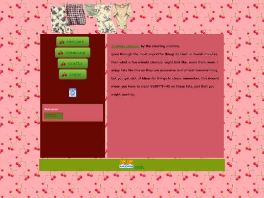 writing/ladydi/cleaning screenshot