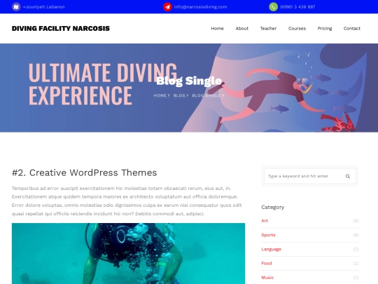 blog-single screenshot