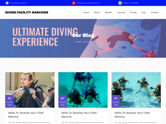 blog screenshot