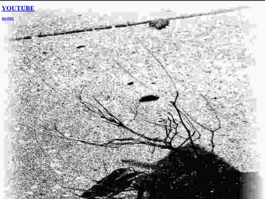 eternalswayfilm screenshot