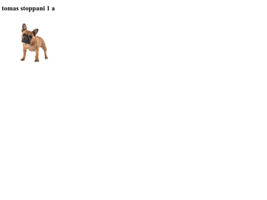 Imgenes screenshot