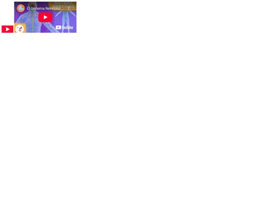 video screenshot
