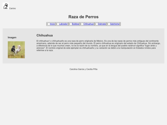 Examen /Chihuahua screenshot