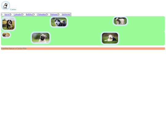 Examen /Dalmata screenshot