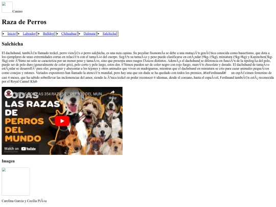 Examen /Imagenes/Salchicha  screenshot