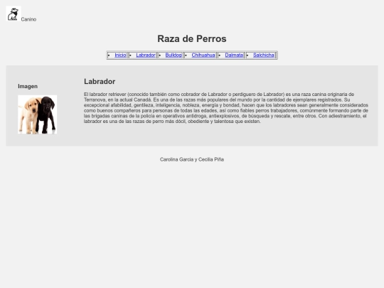 Examen /Labrador screenshot