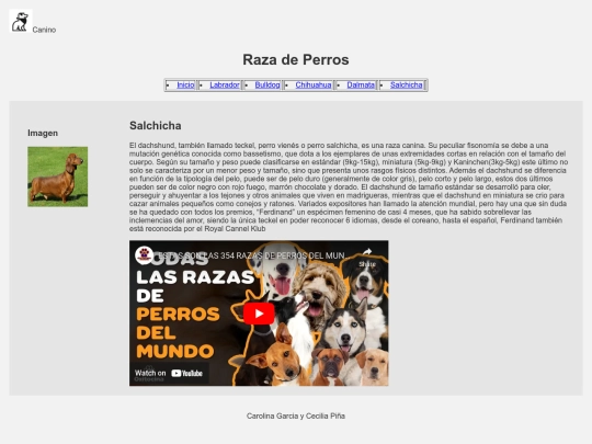 Examen /Salchicha  screenshot