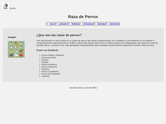 Examen  screenshot
