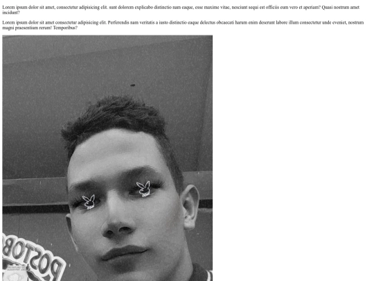 Javascript screenshot