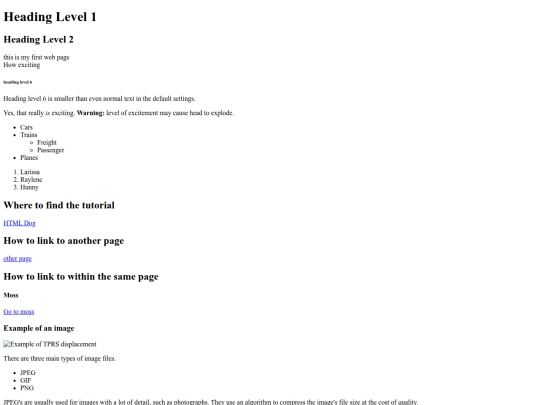 resources/html-pracitce screenshot