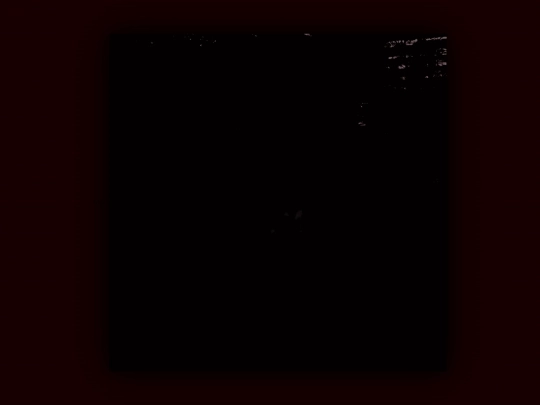vitor screenshot