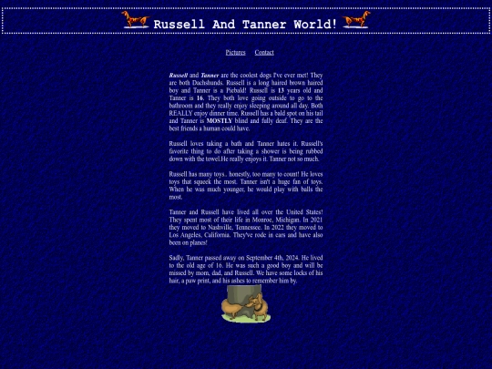 build screenshot