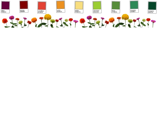 allium screenshot