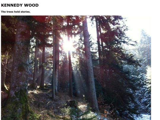 Kennedywood screenshot
