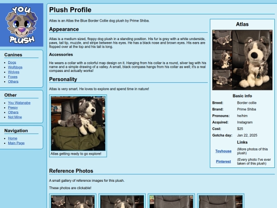 testing123/plushprofile screenshot