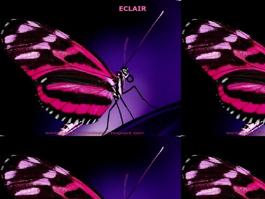 ECLAIR screenshot