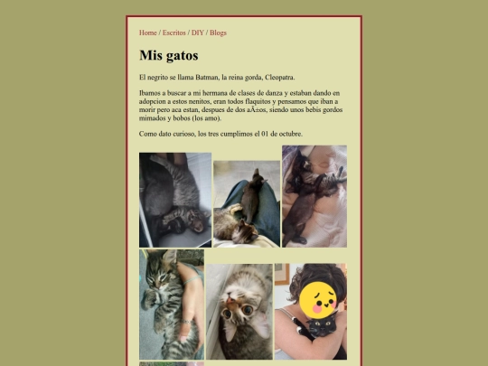 Blogs/Gatos screenshot