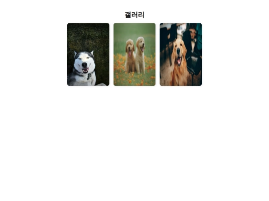 pages/detail screenshot