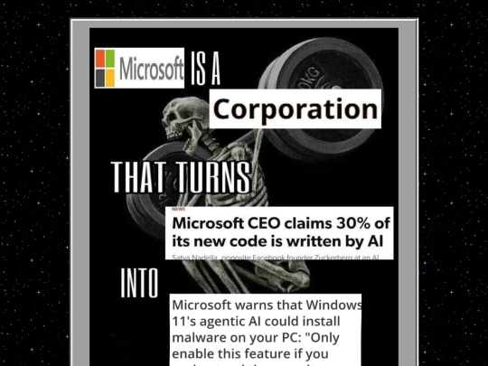 other/shame/microsoft is a corporation screenshot