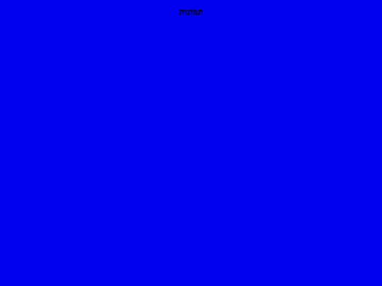 codes screenshot