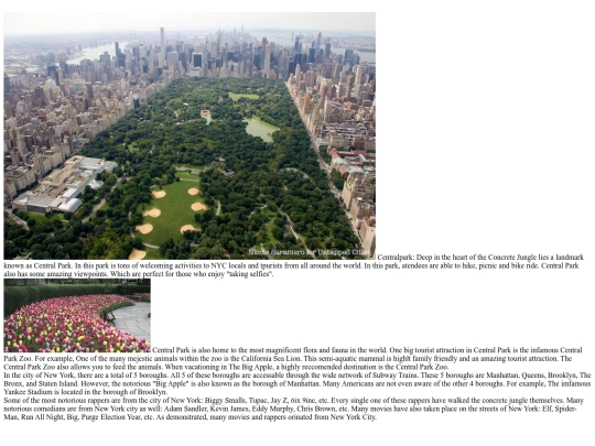 site screenshot