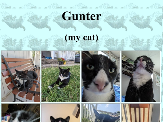 gunter screenshot