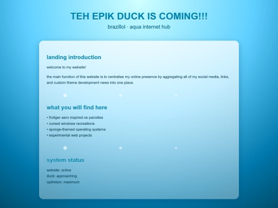 the-website-of-brazil-lol screenshot