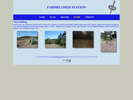 store screenshot